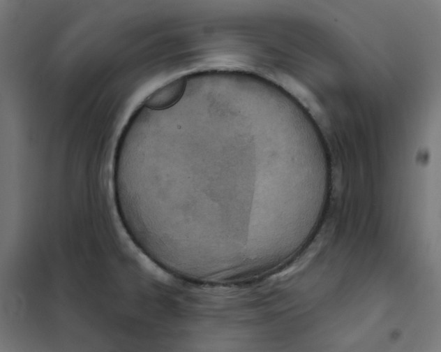 X0000101441334200808041206