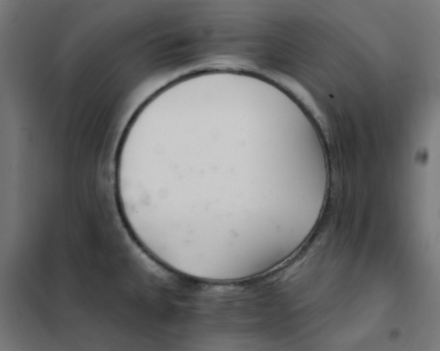 X0000101441335200808041206