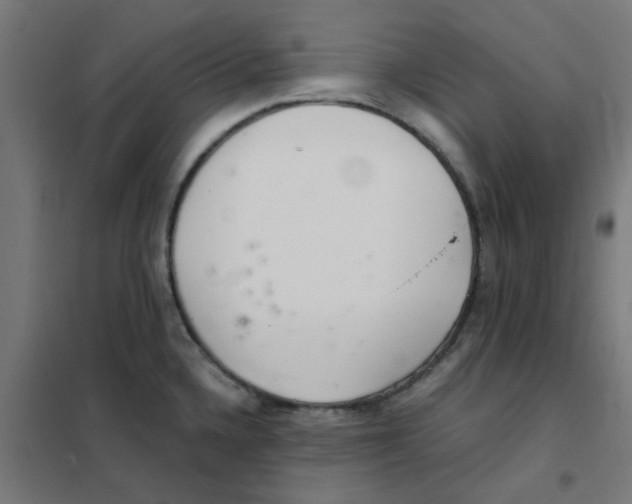 X0000101441336200808041206
