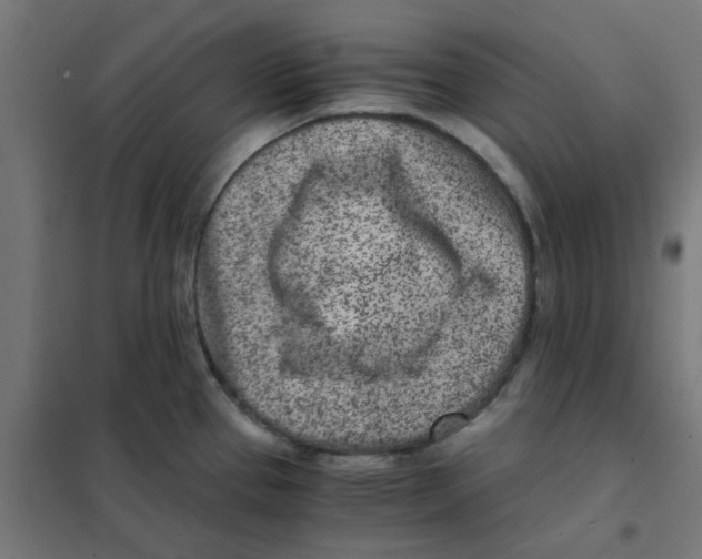 X0000101441337200808041206