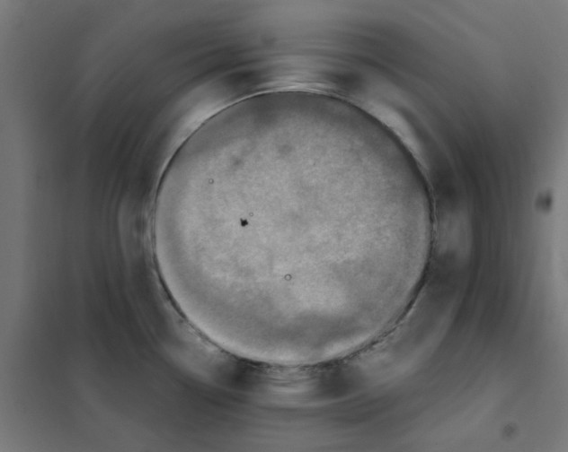 X0000101441338200808041206