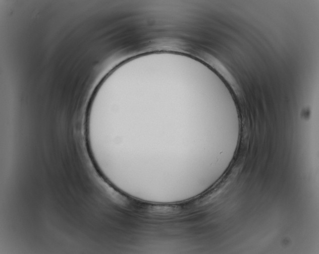X0000101441339200808041206