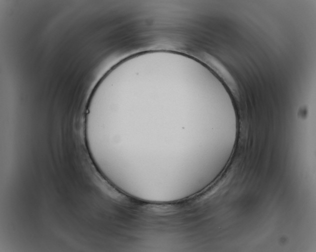 X0000101441340200808041206