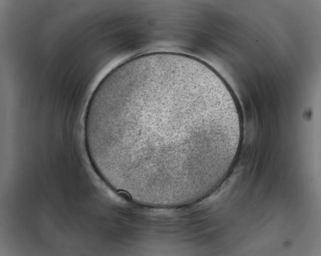 X0000101441341200808041206