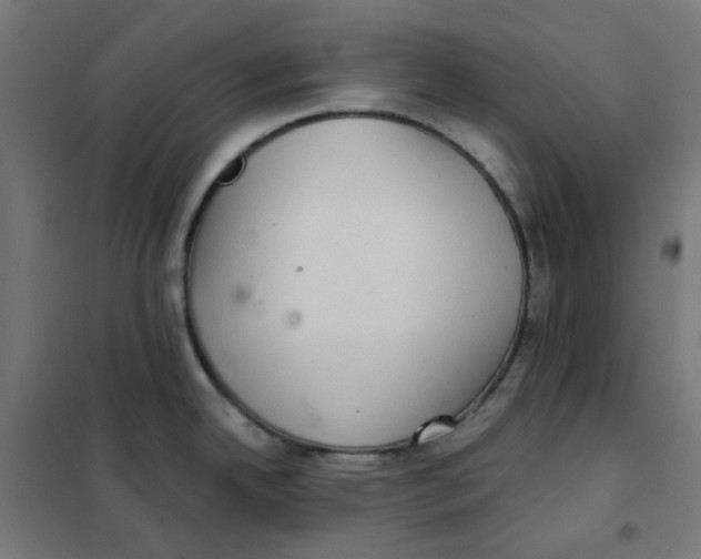 X0000101441342200808041206