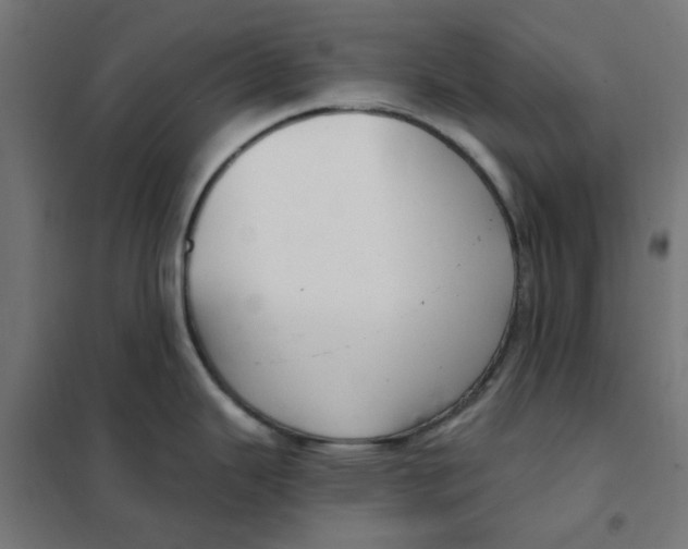X0000101441343200808041206