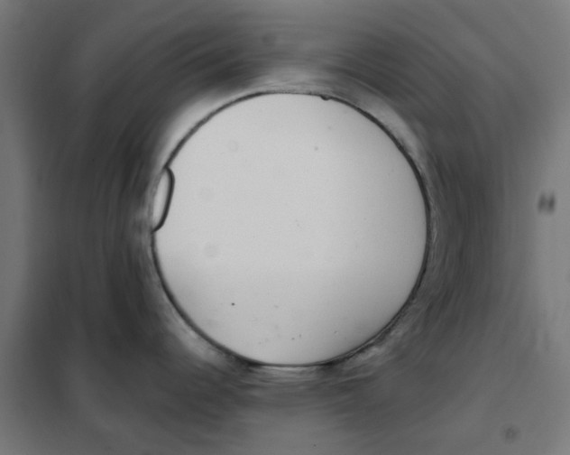 X0000101441344200808041206