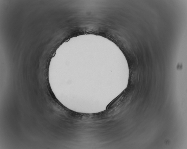 X0000101441345200808041205