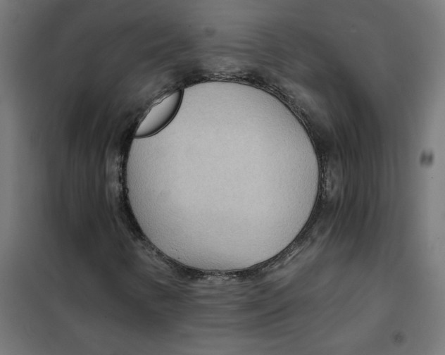 X0000101441346200808041205