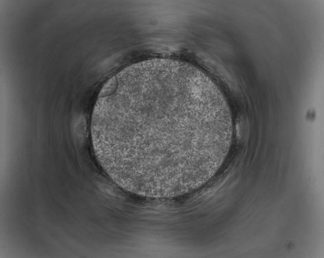 X0000101441347200808041205