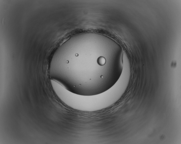 X0000101441348200808041205
