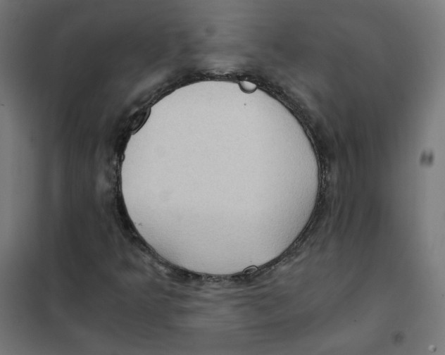 X0000101441349200808041205