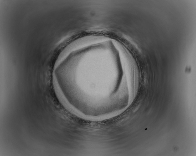 X0000101441350200808041205