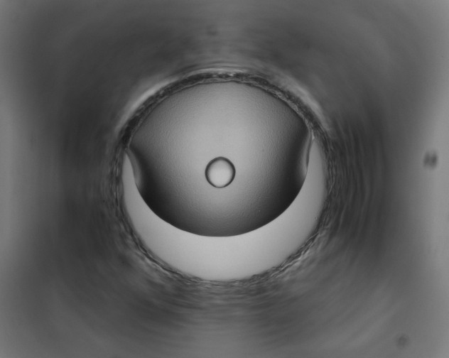 X0000101441352200808041205