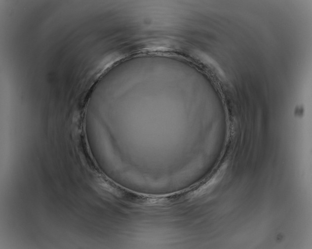 X0000101441353200808041205