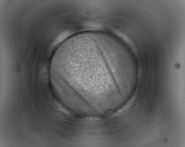 X0000101441354200808041205