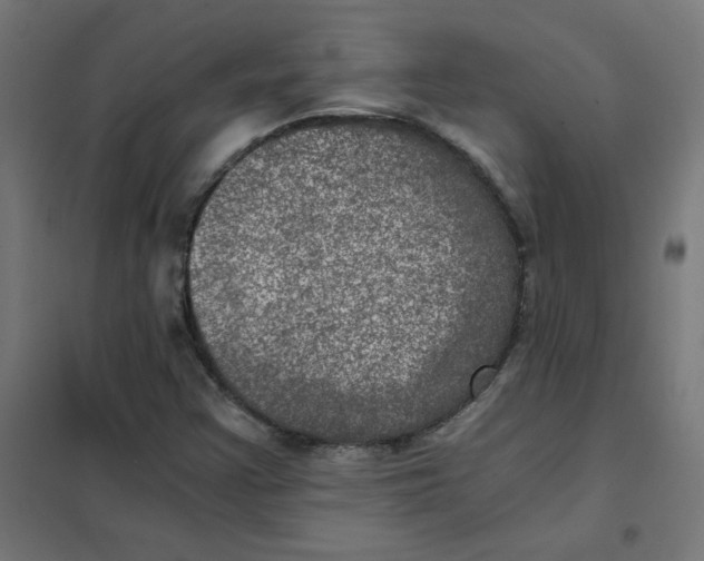 X0000101441355200808041205