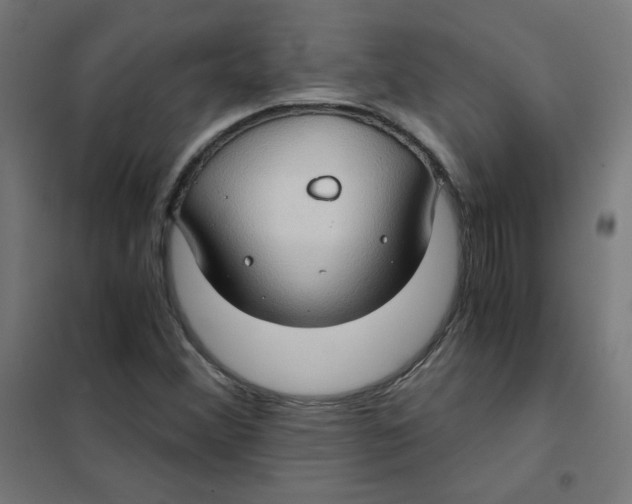 X0000101441356200808041205