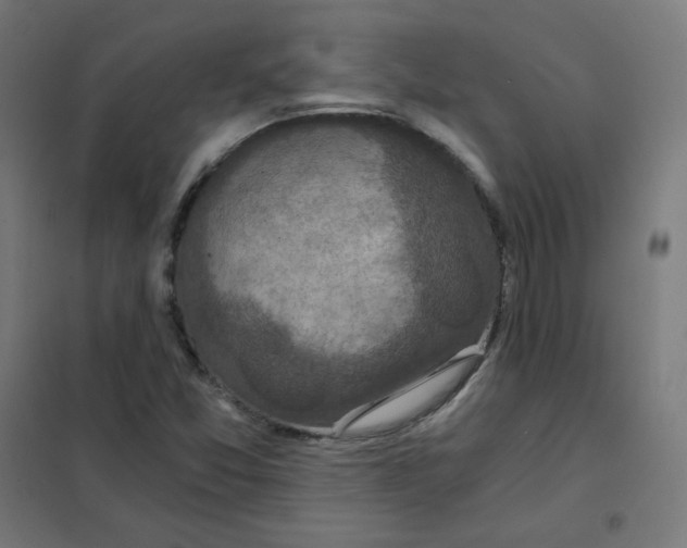 X0000101441357200808041205