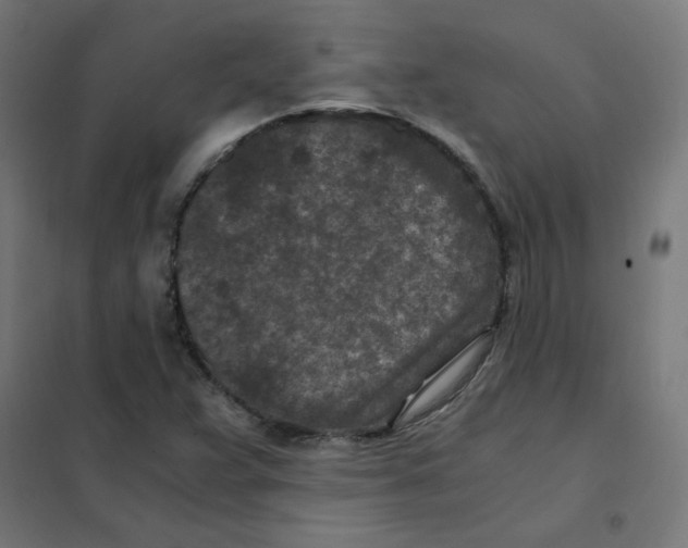 X0000101441359200808041205