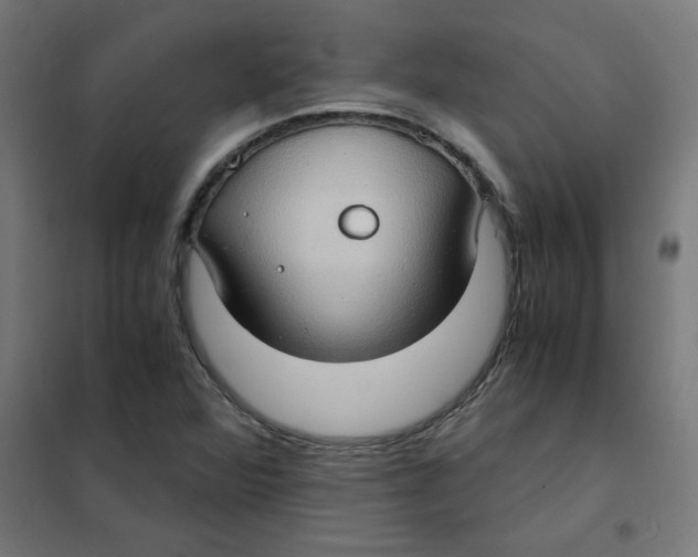 X0000101441360200808041205