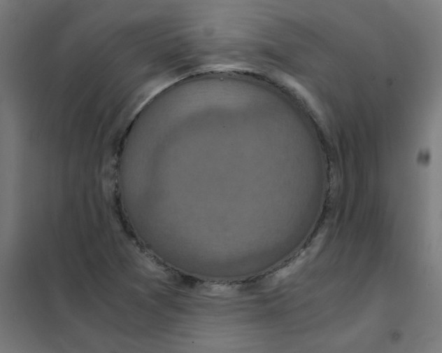 X0000101441361200808041205