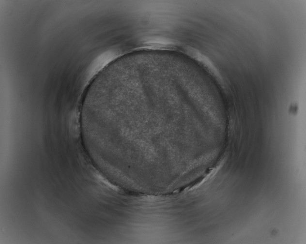 X0000101441362200808041205
