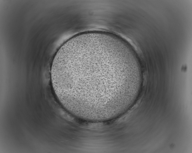 X0000101441363200808041205