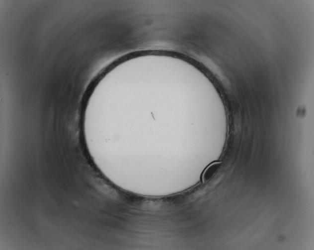 X0000101441364200808041205