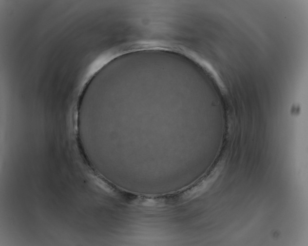 X0000101441365200808041205