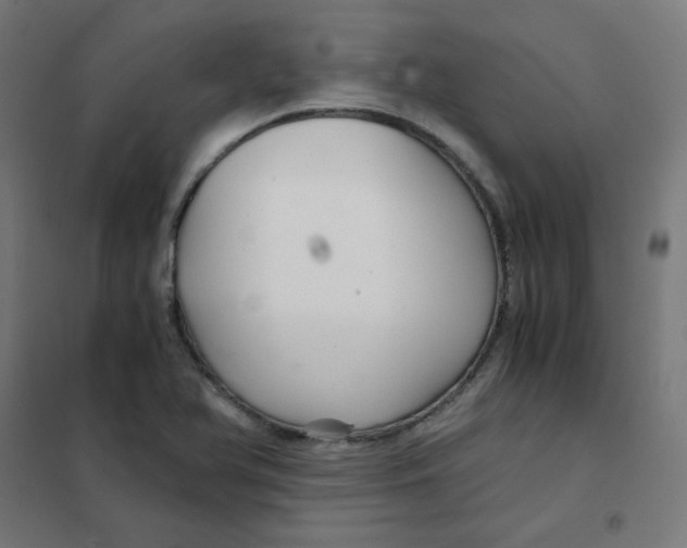X0000101441366200808041205