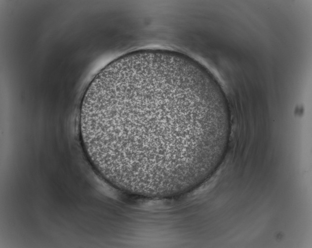 X0000101441367200808041205