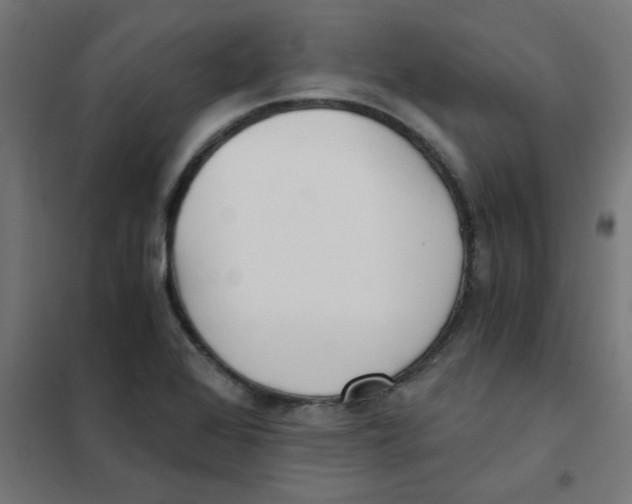 X0000101441368200808041205