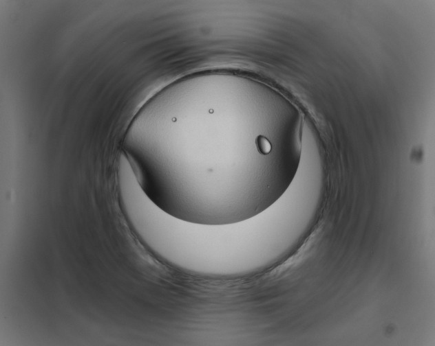 X0000101441369200808041205