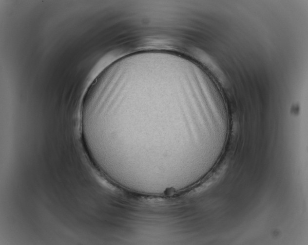 X0000101441370200808041205