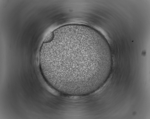 X0000101441371200808041205