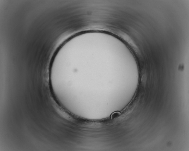 X0000101441372200808041205