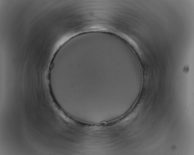 X0000101441373200808041205