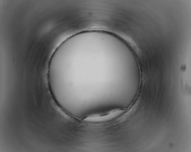 X0000101441374200808041205