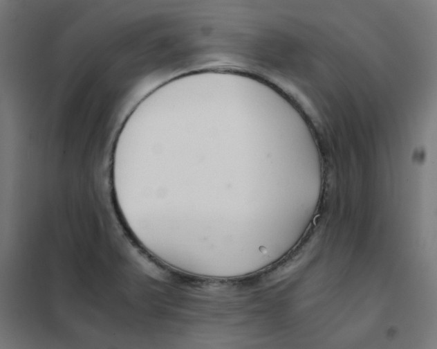 X0000101441375200808041205