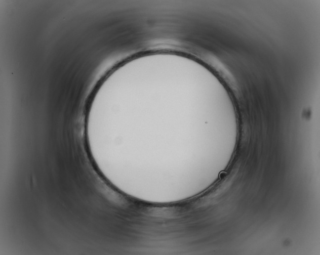 X0000101441376200808041205