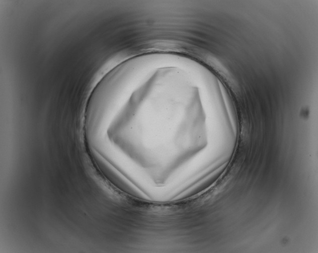 X0000101441378200808041205