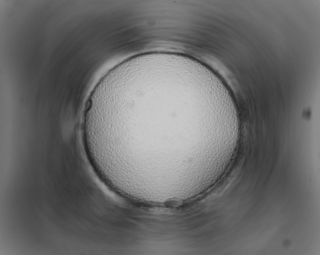 X0000101441379200808041205
