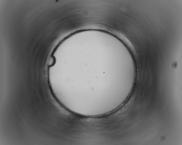 X0000101441380200808041204