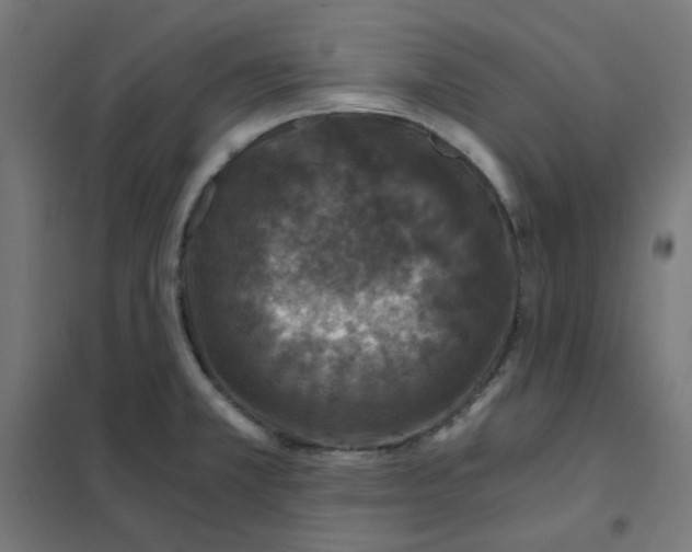 X0000101441381200808041204