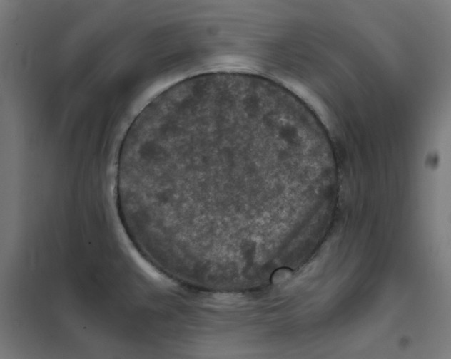 X0000101441383200808041204