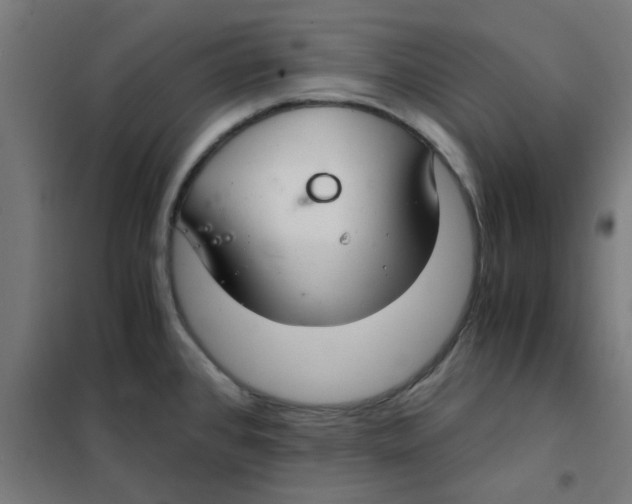 X0000101441384200808041204