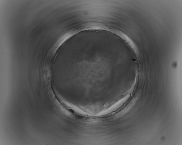 X0000101441385200808041204