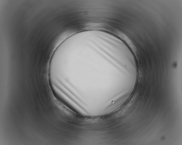 X0000101441386200808041204