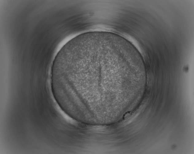 X0000101441387200808041204